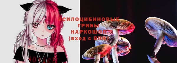 а пвп мука Алзамай