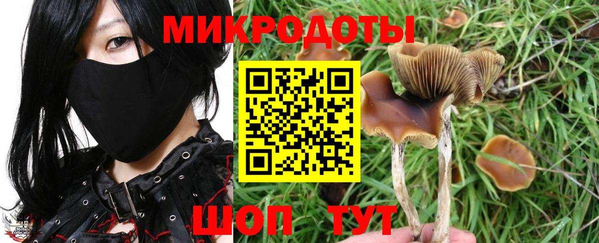 Галлюциногенные грибы ЛСД  Псилоцибиновые грибы ЛСД  Вход с VPN  Тосно 