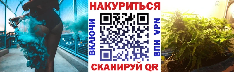 Бошки Шишки планчик  Тосно 