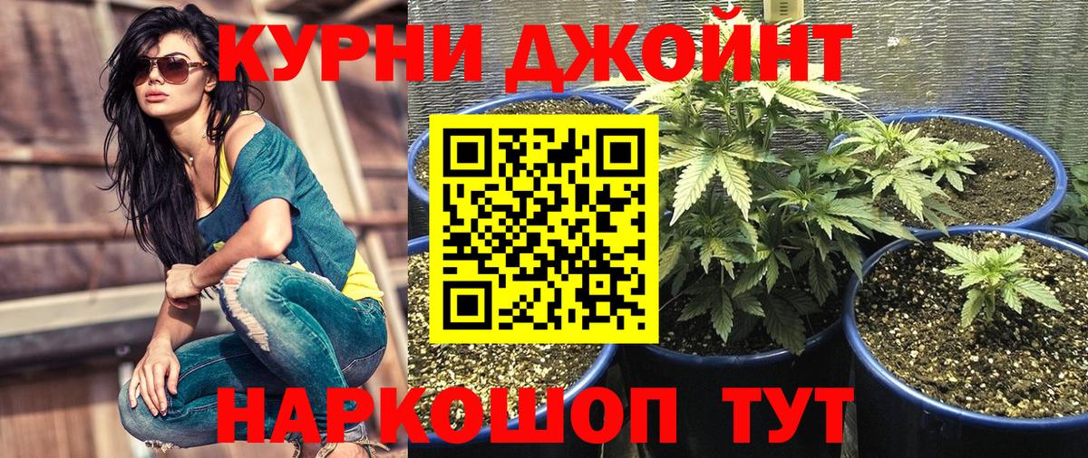 Канабис тримм  Вход с VPN  Тосно  Бошки марихуана MAZAR  Бошки Шишки Ganja 